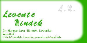 levente mindek business card